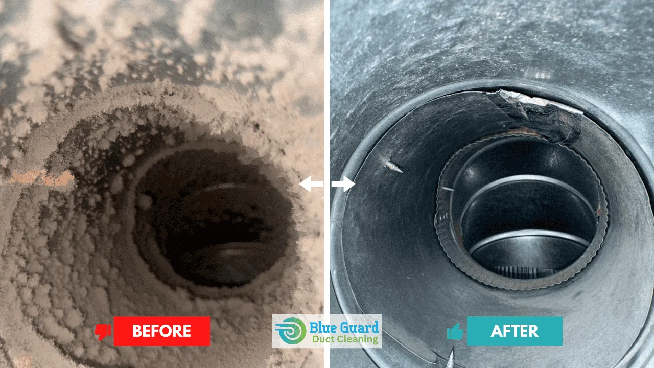 Best Air Duct and Vent Cleaning in Oshawa & Whitby - BlueGuard