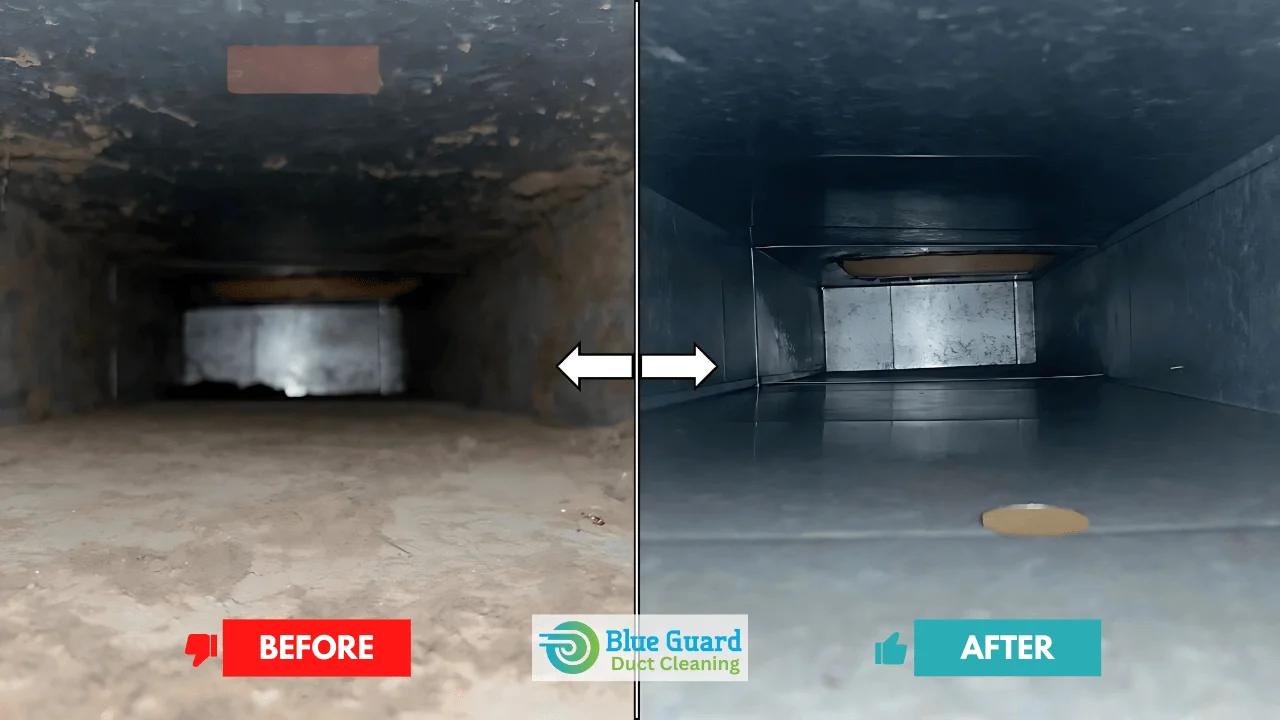 BlueGuard air duct and vent cleaning before after images