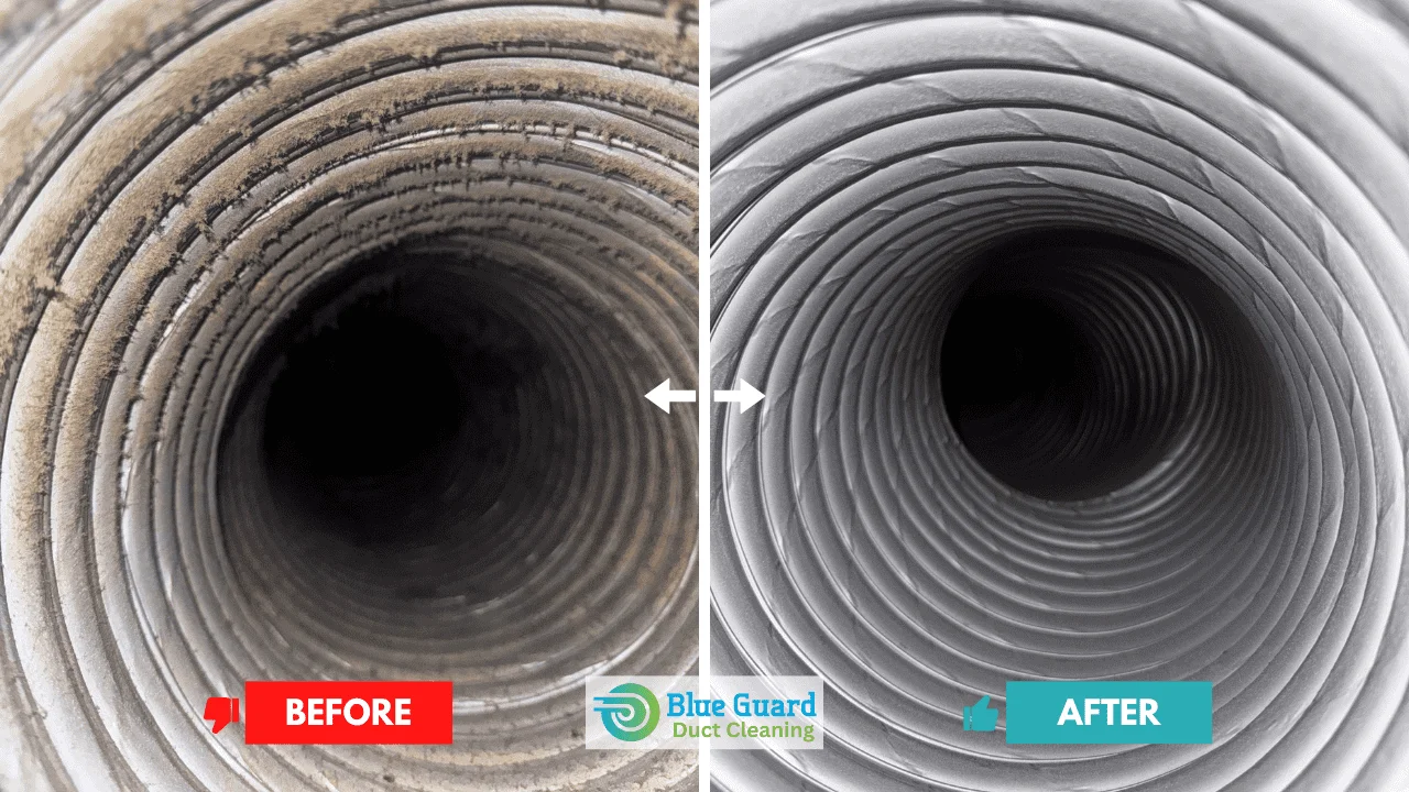 BlueGuard air duct and vent cleaning services across Ontario & Montréal - Before and after image