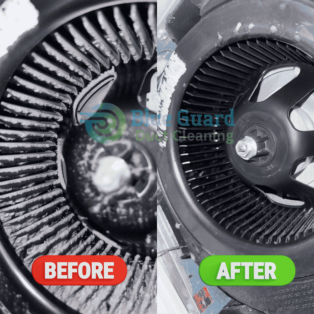 Furnace Blower Cleaning - BlueGuard