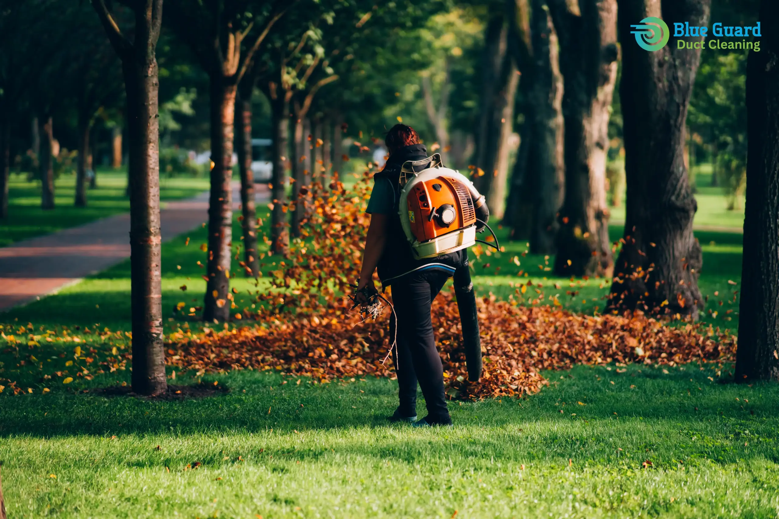 Untitled design (4) copy