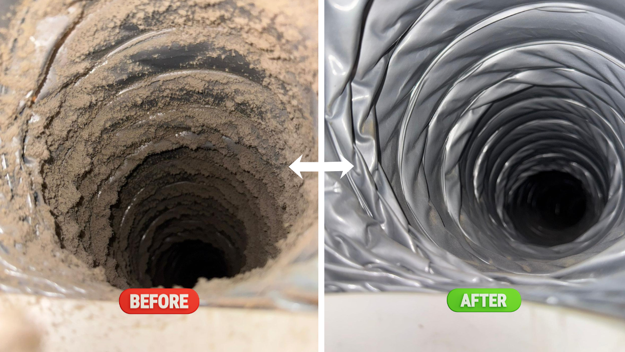 Before and after air duct cleaning services in Carleton Place — dirty vs clean ductwork by BlueGuard
