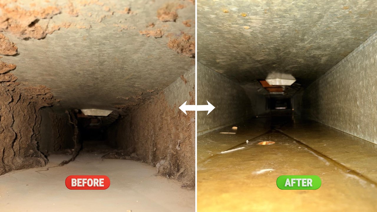 Air duct Cleaning Services in Ottawa | Blueguard provides the best duct cleaning service