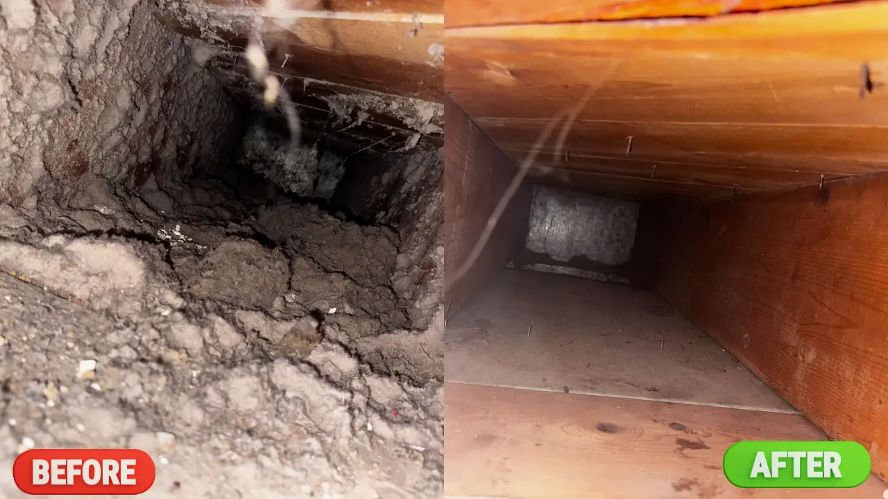 Air Duct Cleaning Service in Nepean | Blueguard before and after img