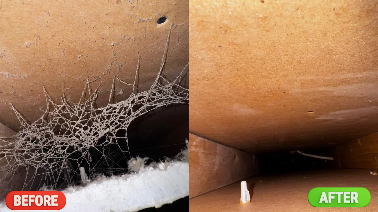 Air Duct Cleaning Almonte | Blueguard before and after image