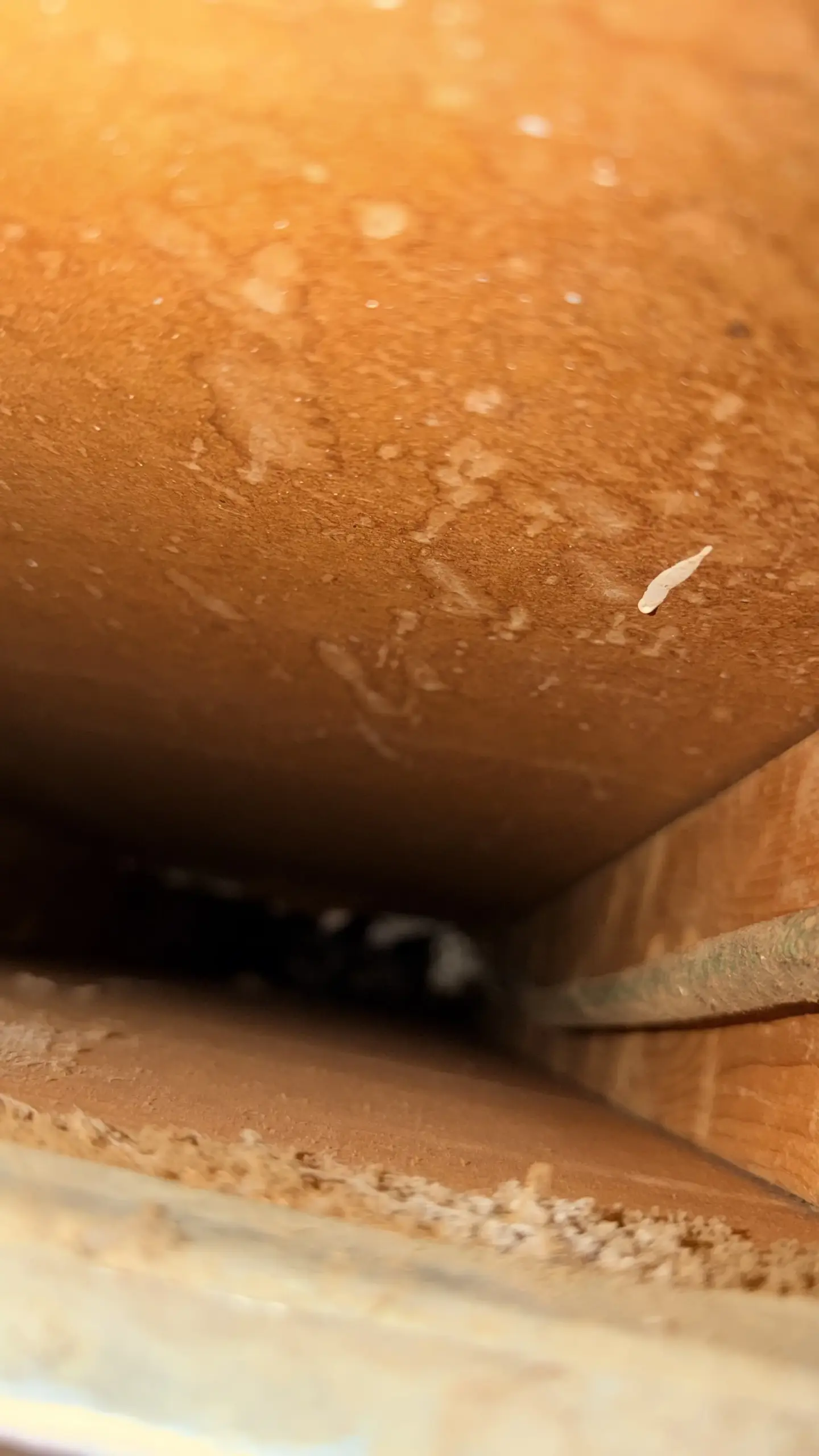 Before Duct Cleaning