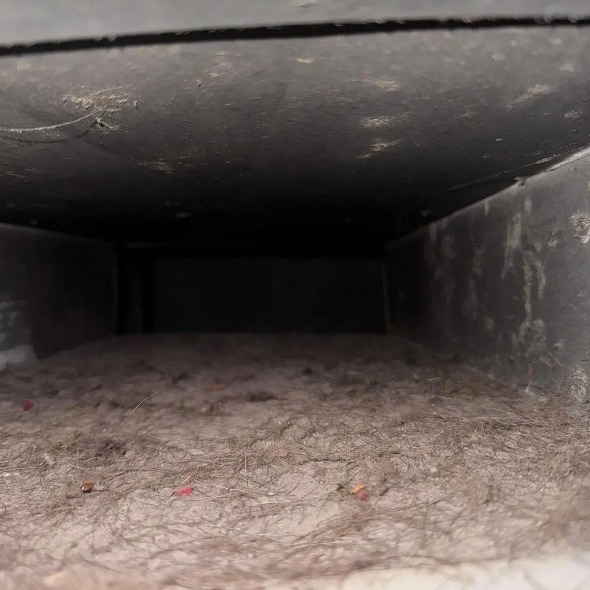 After Duct Cleaning