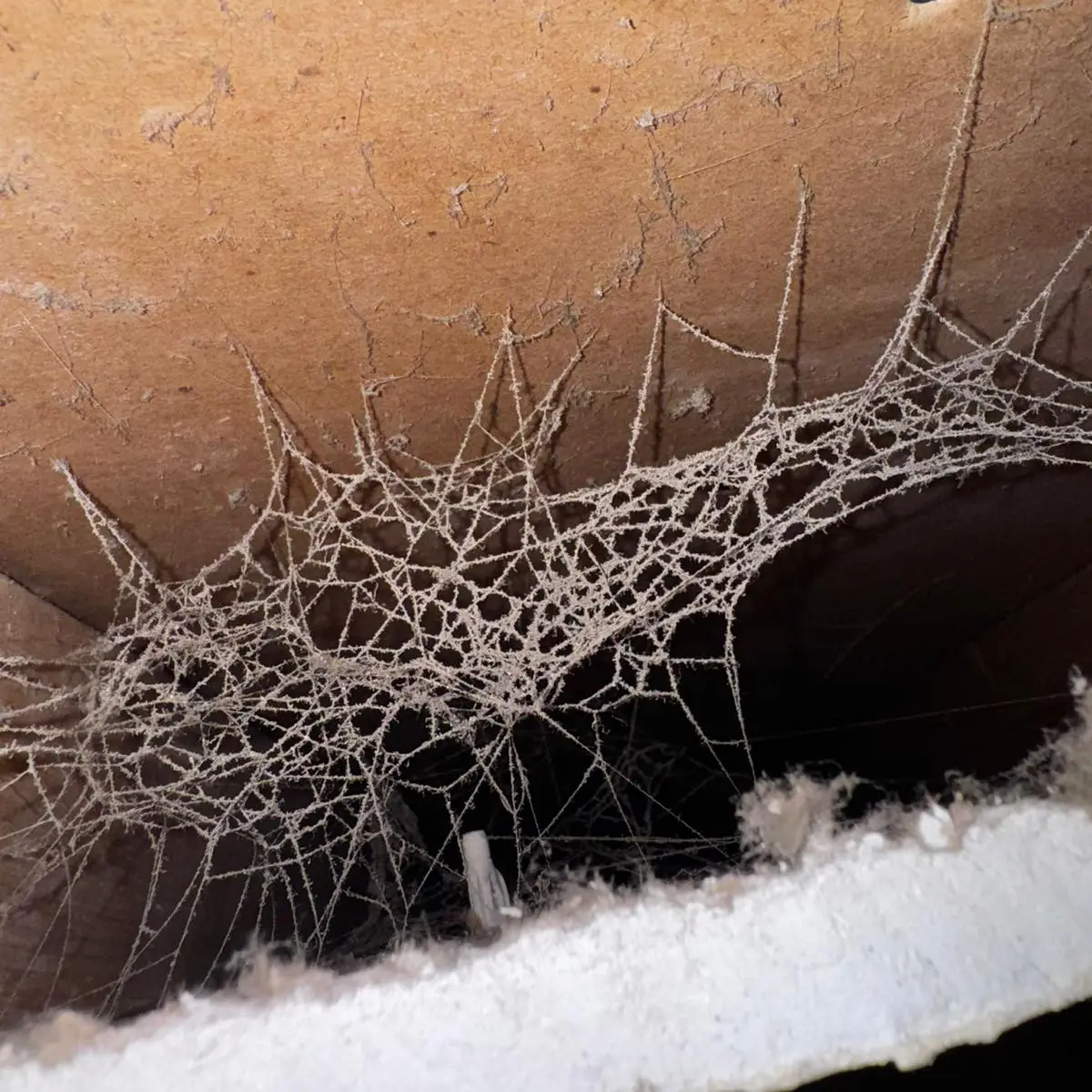 After Duct Cleaning