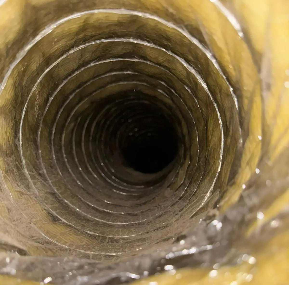 Before Duct Cleaning