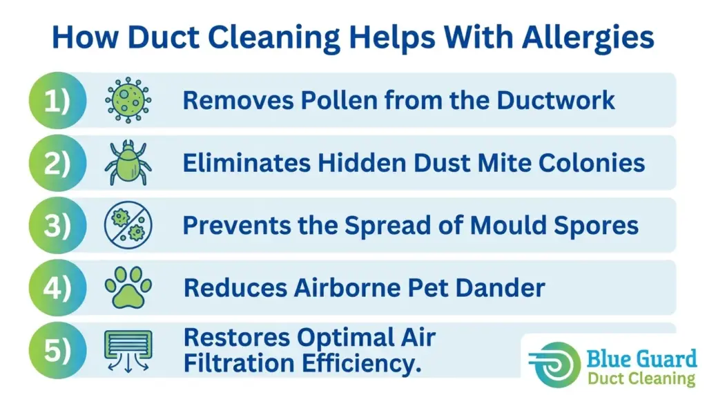 Duct Cleaning for Allergies: 5 Proven Ways to Clear the Air This Summer 1 duct cleaning for allergies – 5 ways it helps Ottawa homeowners infographic