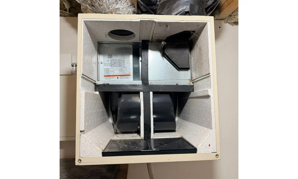 Air exchanger cleaning