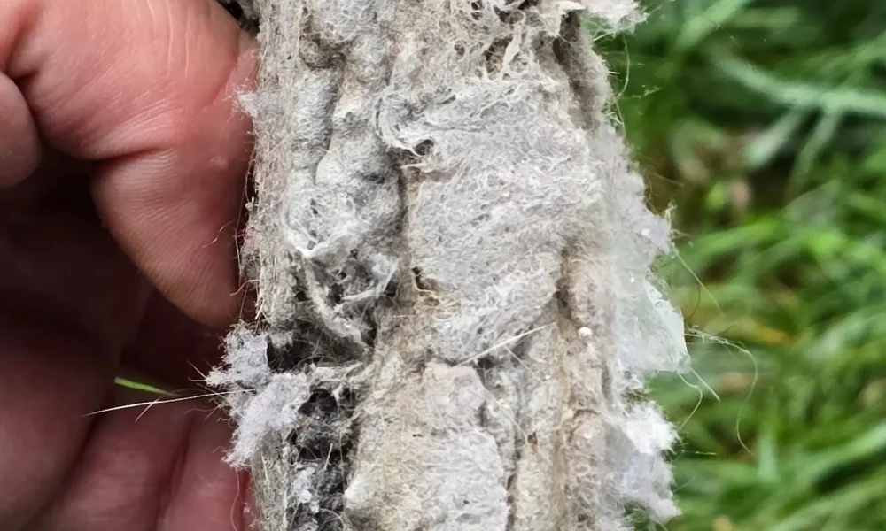 Blueguard Dryer Vent Cleaning Images in Ontario & Montréal